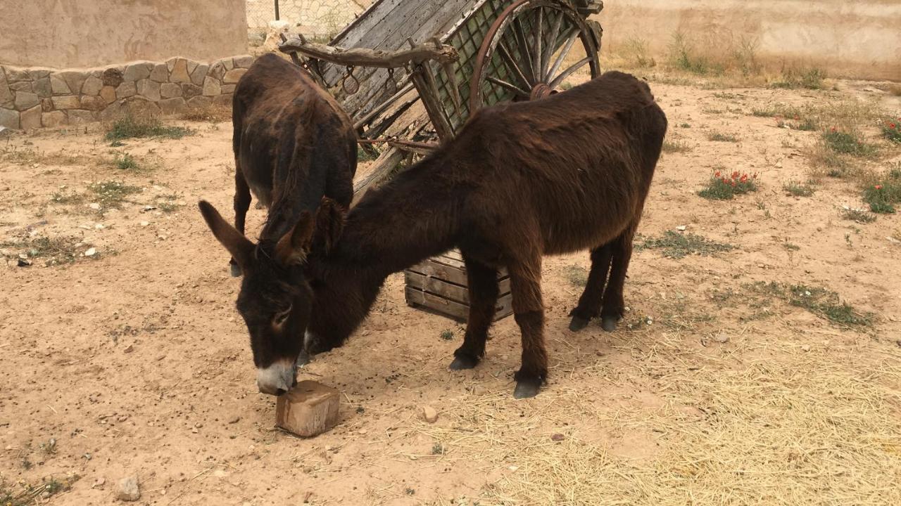El Chozo Villa Fuentiduena Dış mekan fotoğraf