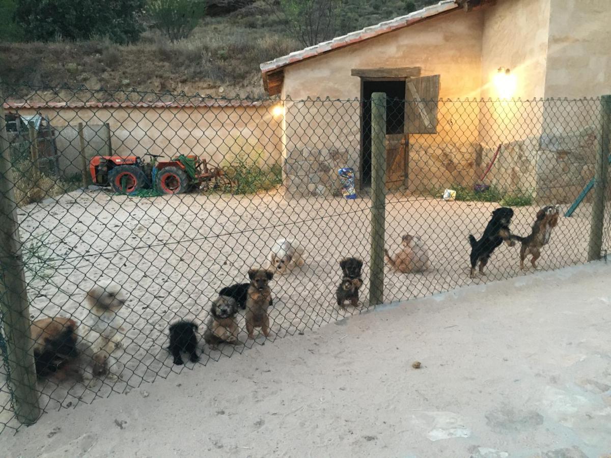 El Chozo Villa Fuentiduena Dış mekan fotoğraf